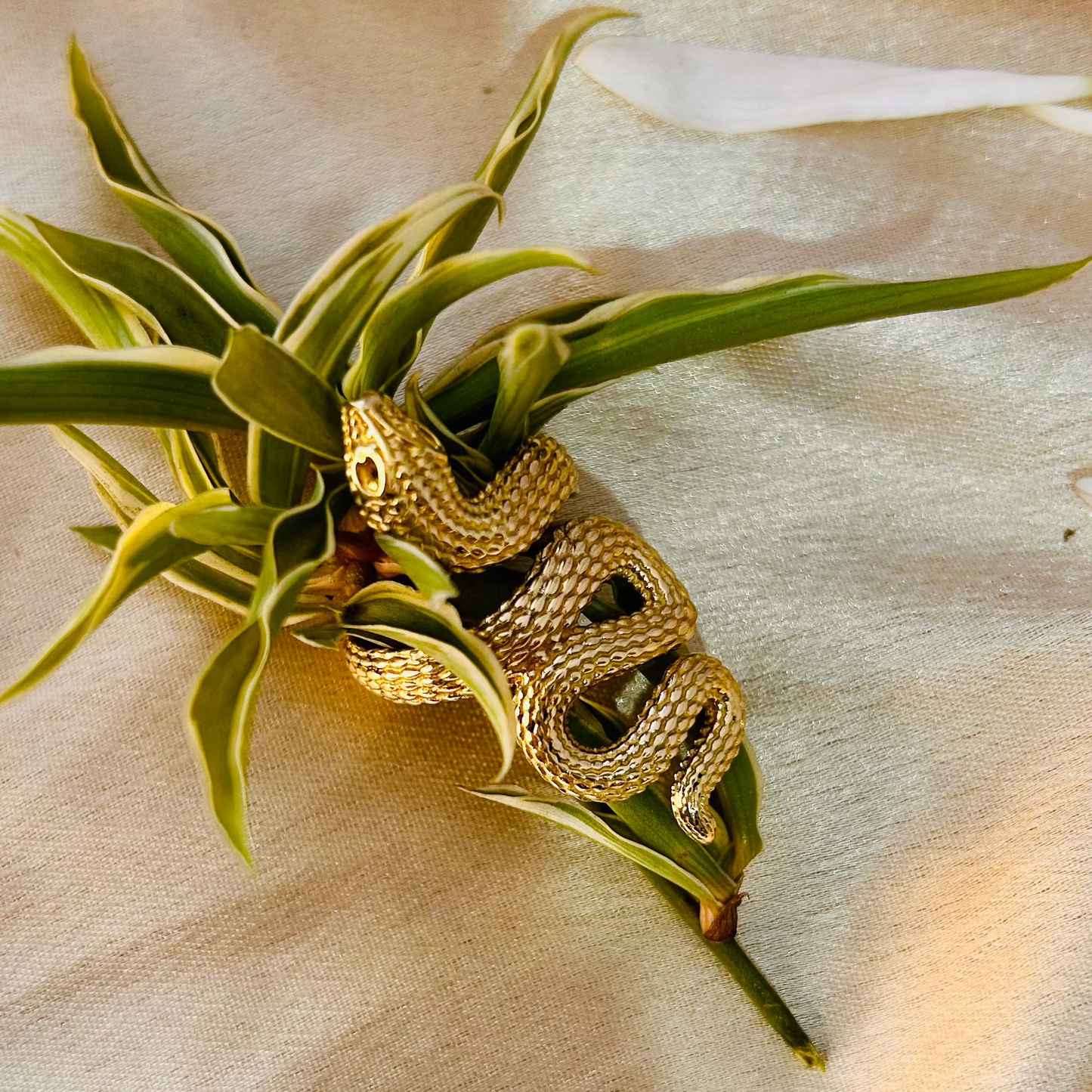 Serpent Embrace Ring – Gold Snake Ring